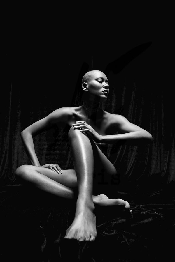 Portfolio Image
